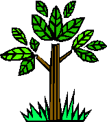 tree tree