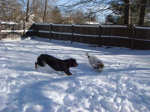 1st blizzard