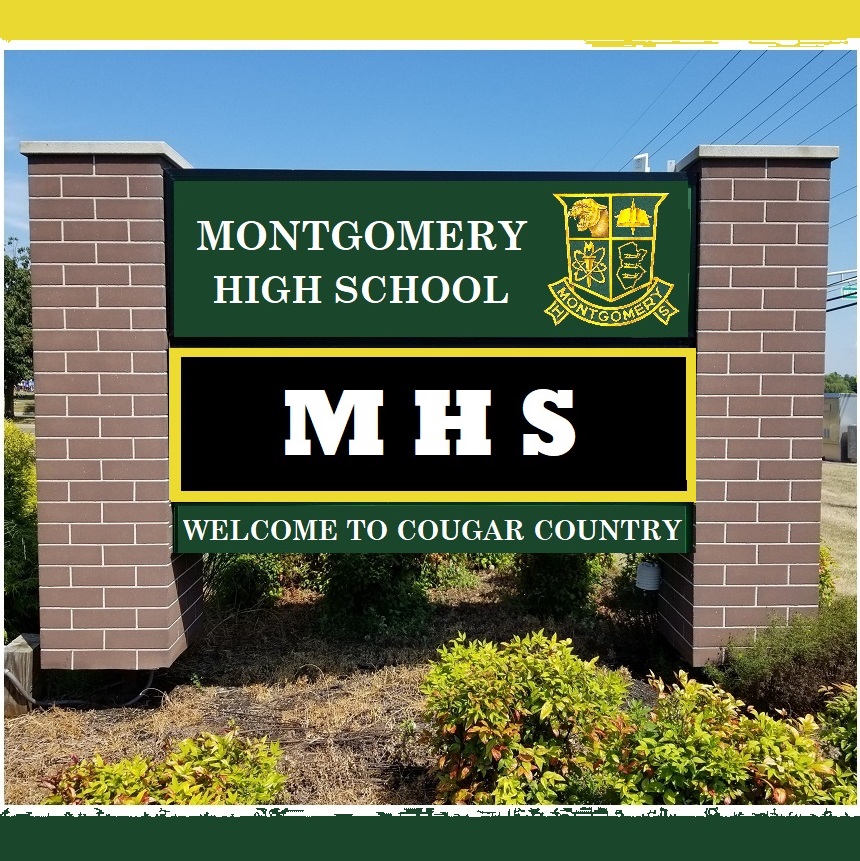 MHS: Diversity, Equity and Inclusion 