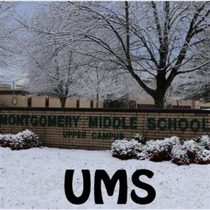 UMS: Diversity, Equity and Inclusion 