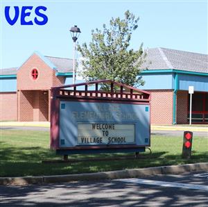 VES: Diversity, Equity and Inclusion 