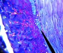 artery3