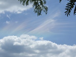 Running Rainbow