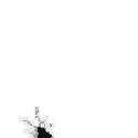 bug