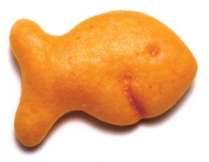 fish 